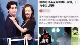 卓伟爆料杨幂最新消息,卓伟曝惊人消息,揭秘杨幂近况!